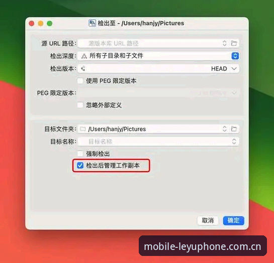 LEYU手机版登陆入口V3版本推荐实用指南：从下载到稳定体验的完整路径